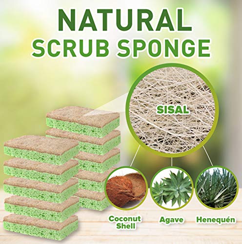 SCRUBIT Multi-Purpose Dish Scrub Sponge, Non Scratch Scouring Pads,  Cleaning Sponges for pots, Dishes, & Non-Stick Cookware - Pot Scrubber  Sponges for