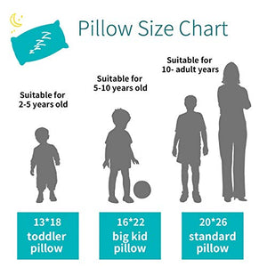 LOFE Organic Standard-Size Pillow with Pillowcase - 20x26, Natural Organic Cotton Zippered Shell, Adjustable Loft, Machine Washable and Hypoallergenic, for Side and Back Sleepers, Youth, Adults
